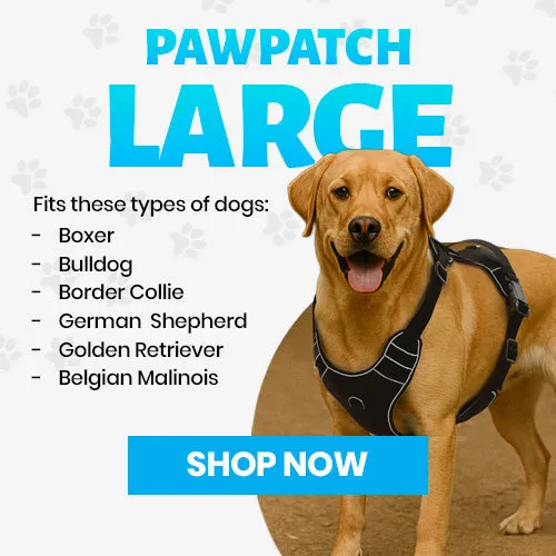 Pull Patch PawPatch Track hundesele large AirTag