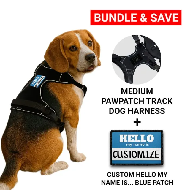 Pull Patch PawPatch Track Hello My Name hundesele blå Medium