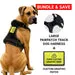 Pull Patch PawPatch Track Custom Graphic hundesele Large