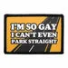 Pull Patch I'm So Gay velcropatch sjov tekst
