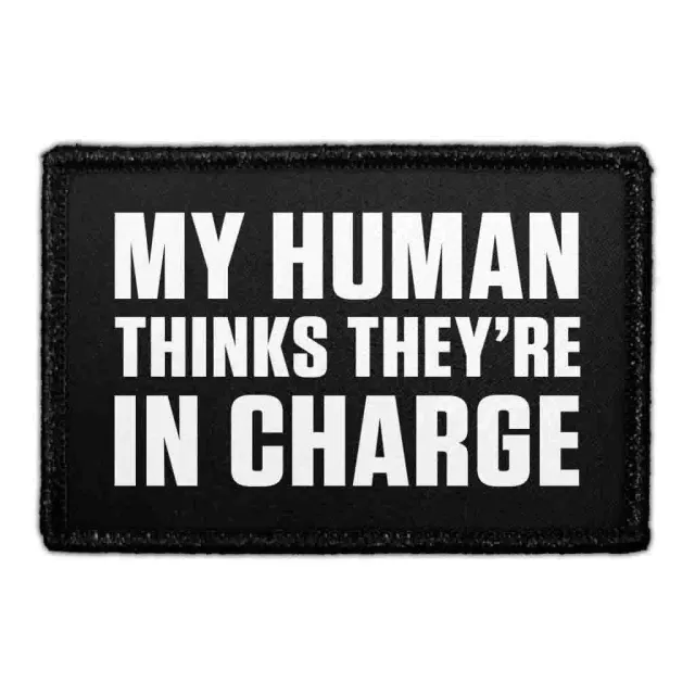 Pull Patch My Human Thinks They're in Charge patch