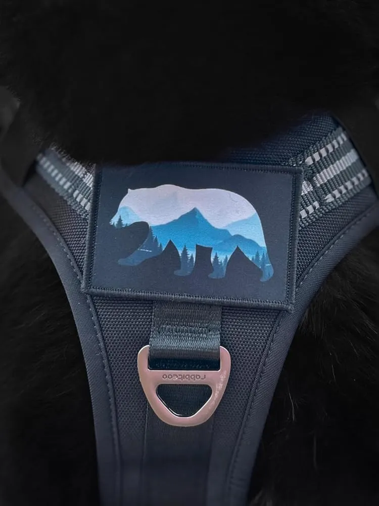 Pull Patch Bear Mountains patch velcro 76x51 mm