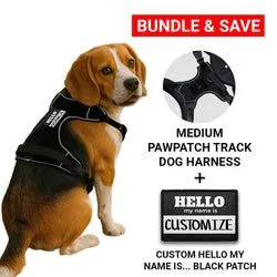 Pull Patch PawPatch Track Hello My Name hundesele blå Medium