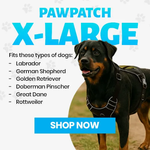 Pull Patch PawPatch Track hundesele large AirTag