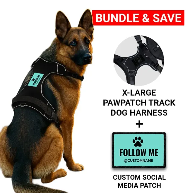 Pull Patch PawPatch Track Social Media hundesele XL AirTag