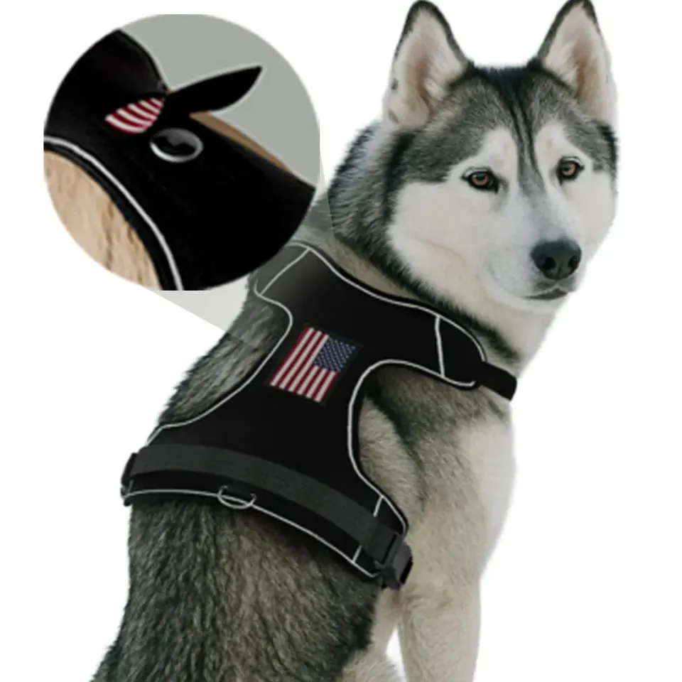 Pull Patch PawPatch Track hundesele XL AirTag-lomme