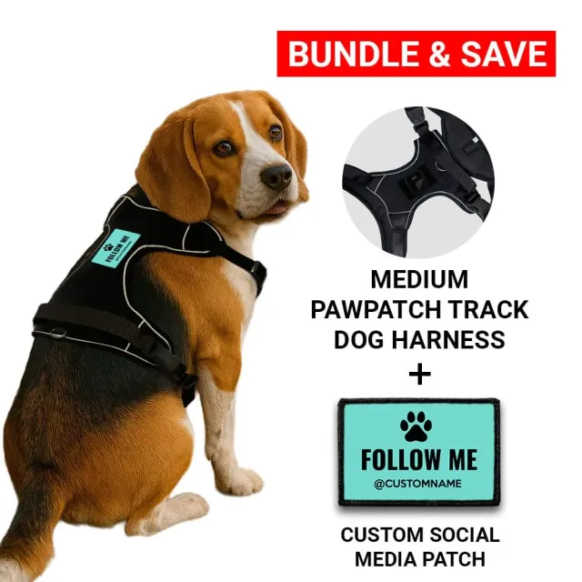 Pull Patch PawPatch Track hundesele Medium + custom patch