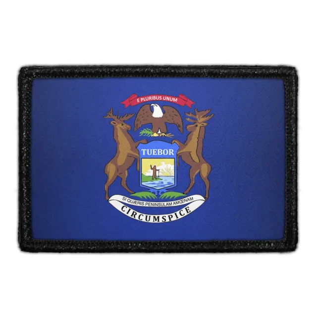 Pull Patch Michigan State Flag patch farvet