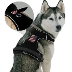 Pull Patch PawPatch Track hundesele large AirTag