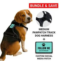 Pull Patch PawPatch Track hundesele Medium + custom patch