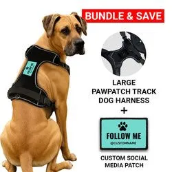 Pull Patch PawPatch Track Social Media hundesele large med AirTag