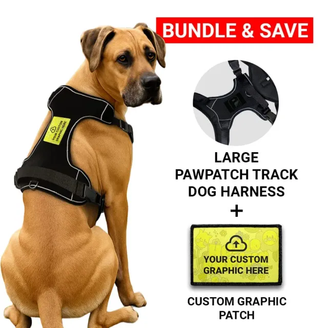 Pull Patch PawPatch Track Custom Graphic hundesele Large