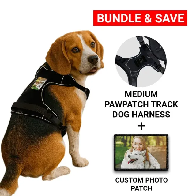 Pull Patch PawPatch Track hundesele medium med fotopatch