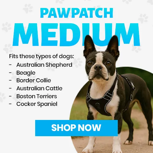 Pull Patch PawPatch Track hundesele medium no-pull AirTag