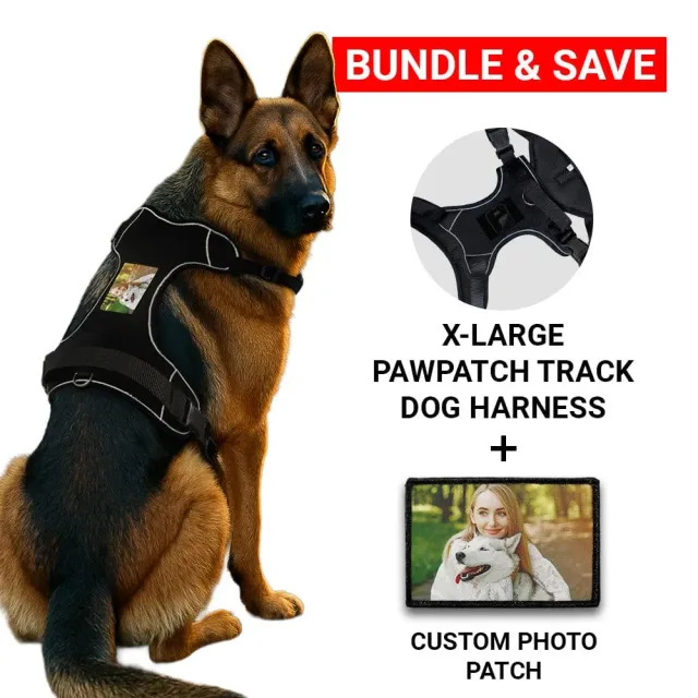 Pull Patch PawPatch Track hundesele x-large med fotopatch