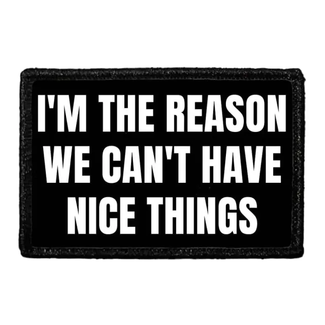 Pull Patch I'm The Reason We Can't Have Nice Things mærke