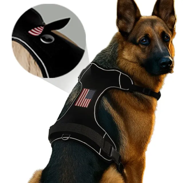 Pull Patch PawPatch Track hundesele large AirTag