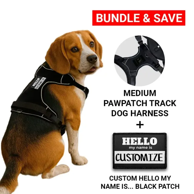 PawPatch Track Hello My Name hundesele sort Medium