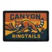 Pull Patch Canyon Ringtails patch 7,6x5,1 cm velcro