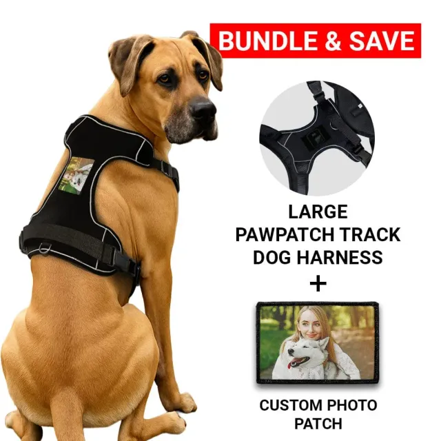 Pull Patch PawPatch Track hundesele large med fotopatch