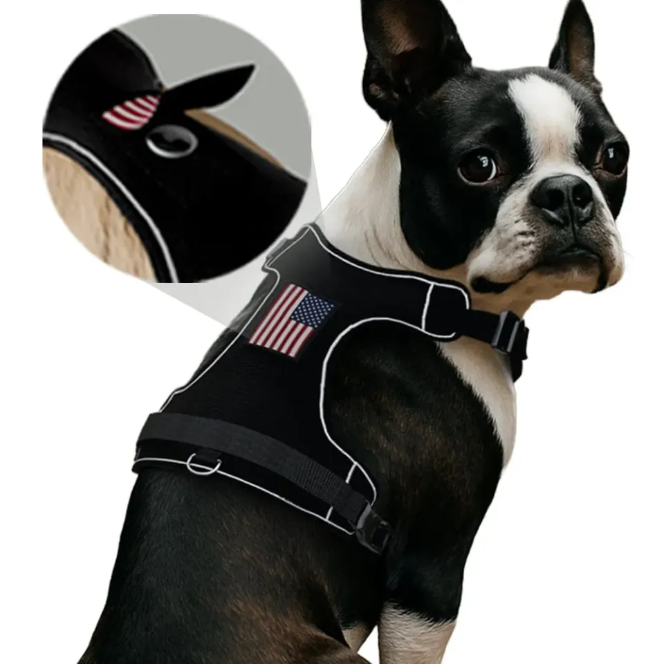 Pull Patch PawPatch Track hundesele Medium AirTag