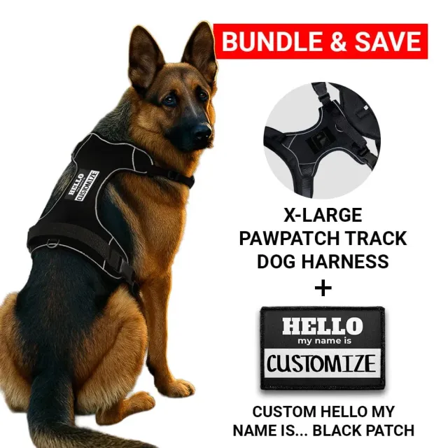 Pull Patch PawPatch Track hundesele XL Hello My Name