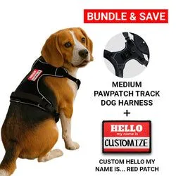 Pull Patch PawPatch Track Hello My Name hundesele blå Medium