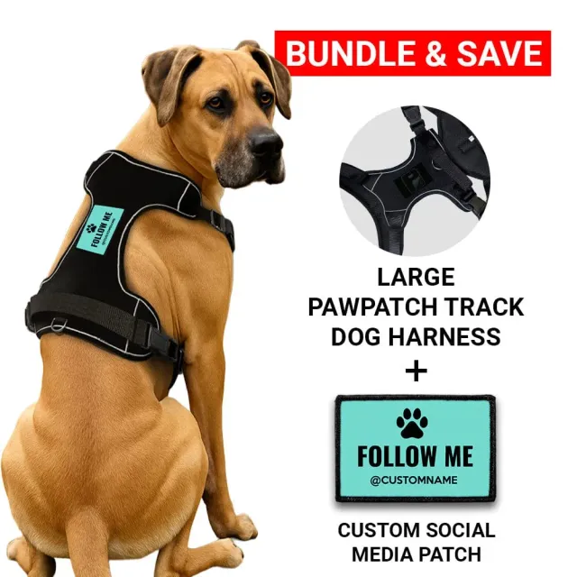 Pull Patch PawPatch Track Bundle Custom Social Media hundesele Large
