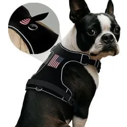 Pull Patch PawPatch Track hundesele medium no-pull AirTag